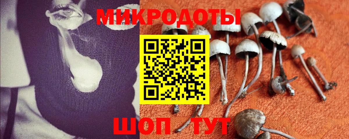 Галлюциногенные грибы GOLDEN TEACHER  Псилоцибиновые грибы мицелий  Долгопрудный  Вход с VPN 