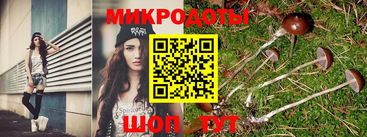 Галлюциногенные грибы мицелий Долгопрудный